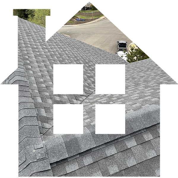 home-img